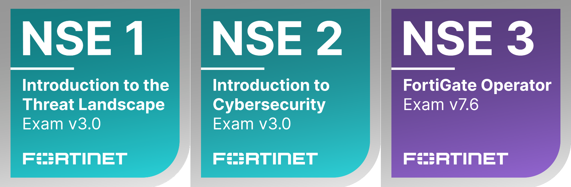 Fortinet NSE Banner